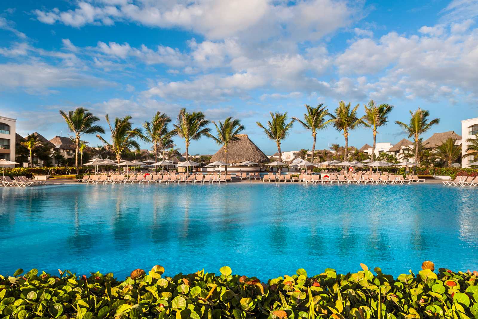 The central pool at Hard Rock Punta Cana with a thatched roof bar and palm trees